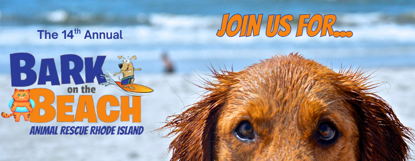 Bark on the Beach 2025
